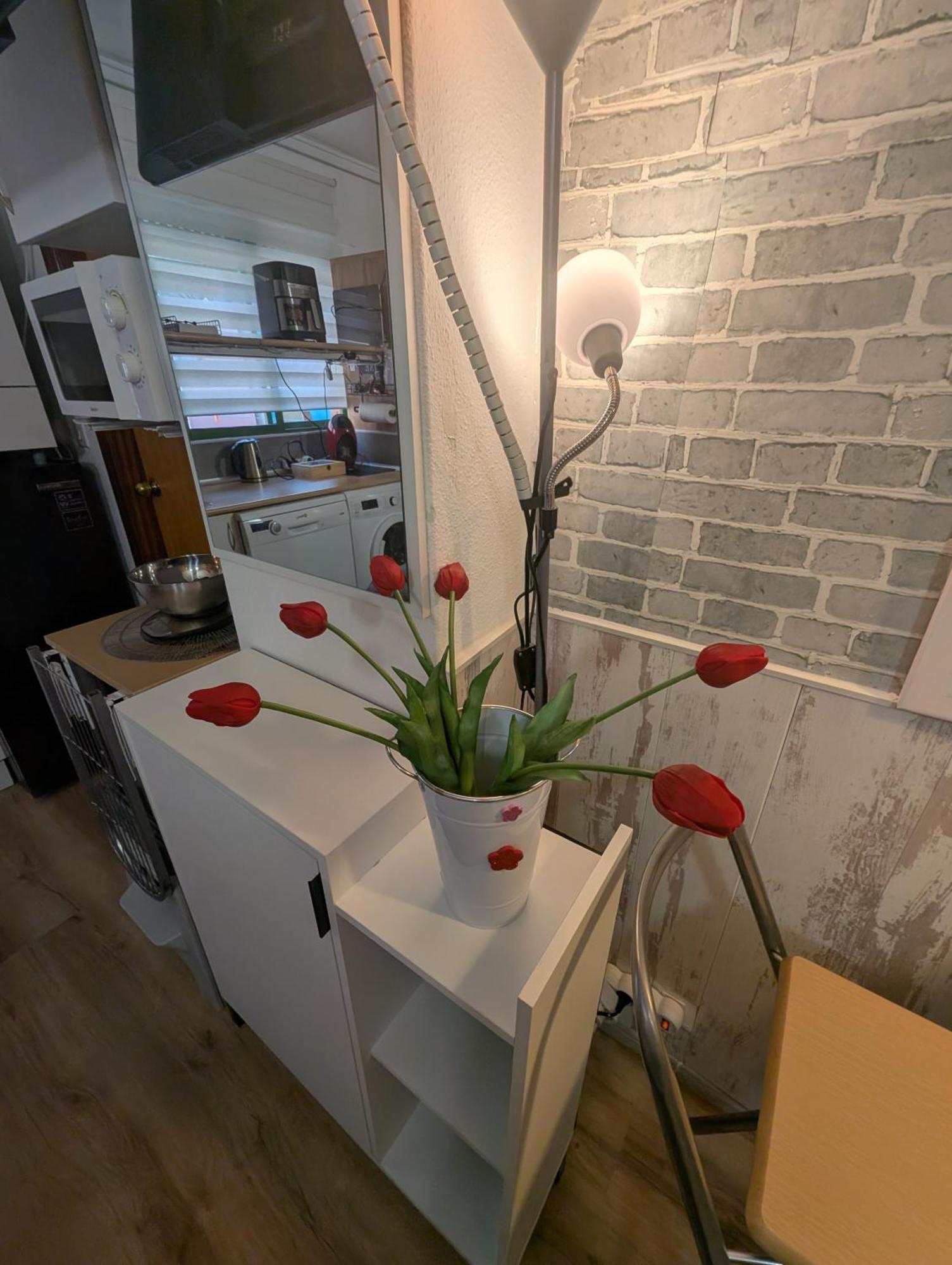 Alicante Postiguet Studios Dış mekan fotoğraf