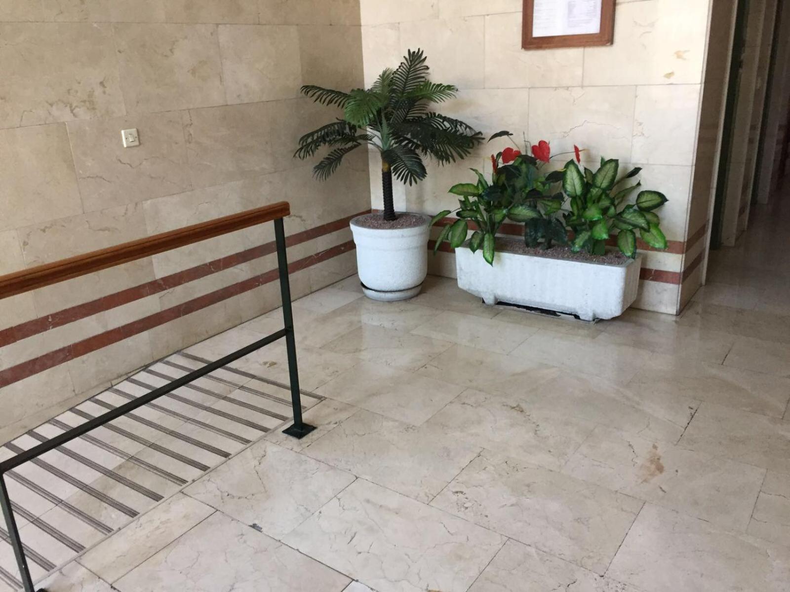 Alicante Postiguet Studios Dış mekan fotoğraf